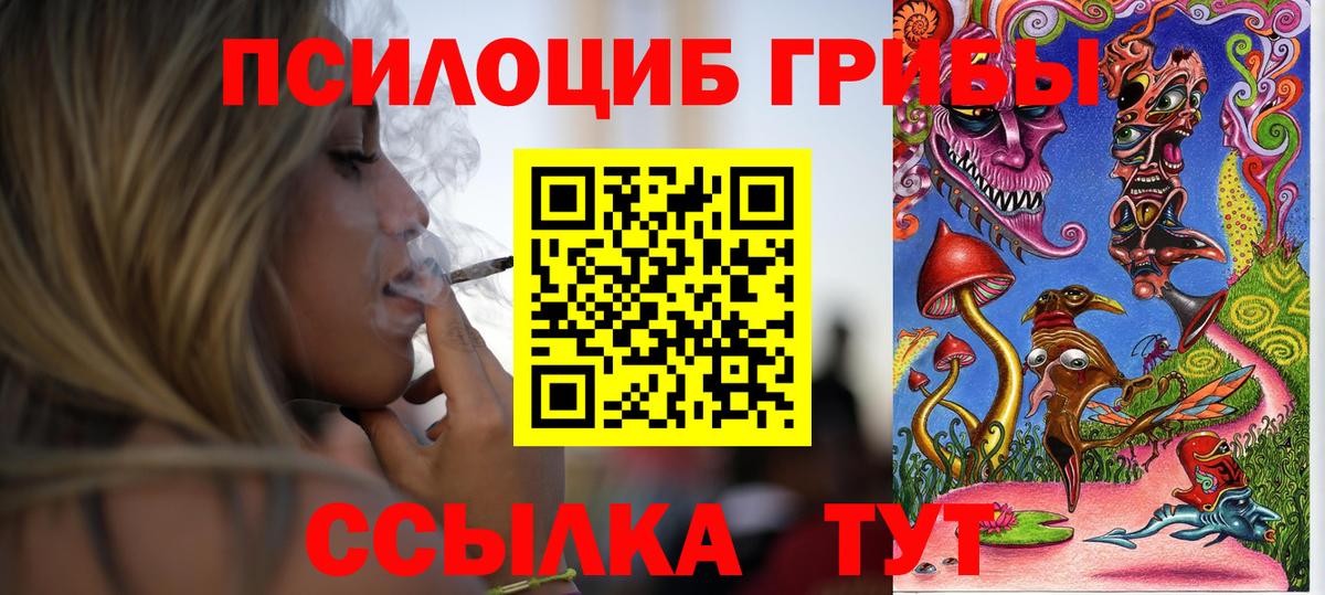 Галлюциногенные грибы Psilocybe  закладка  Соль-Илецк  Вход с VPN 